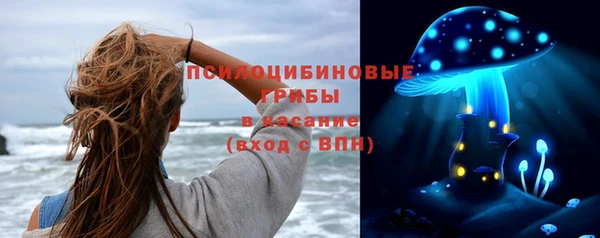 дживик Алзамай