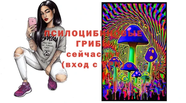 дживик Алзамай
