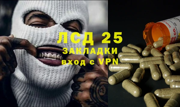ГАЛЛЮЦИНОГЕННЫЕ ГРИБЫ Алексеевка