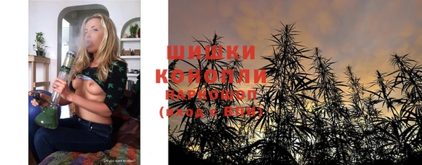 ГАЛЛЮЦИНОГЕННЫЕ ГРИБЫ Алексеевка